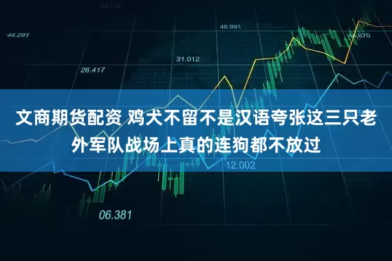 文商期货配资 鸡犬不留不是汉语夸张这三只老外军队战场上真的连狗都不放过